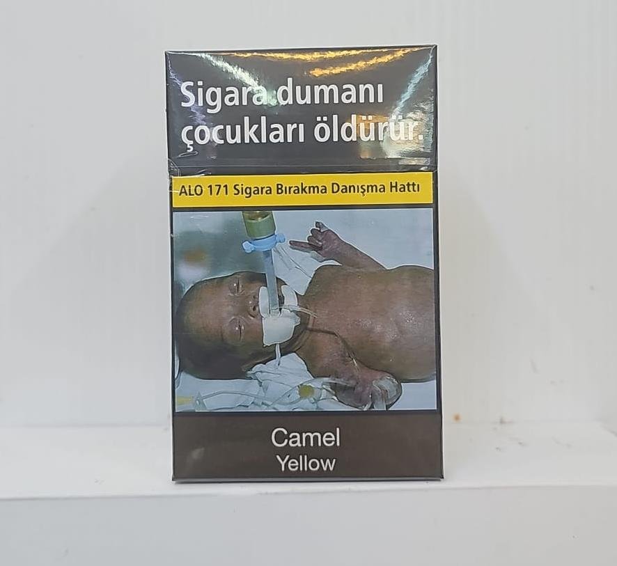 Camel