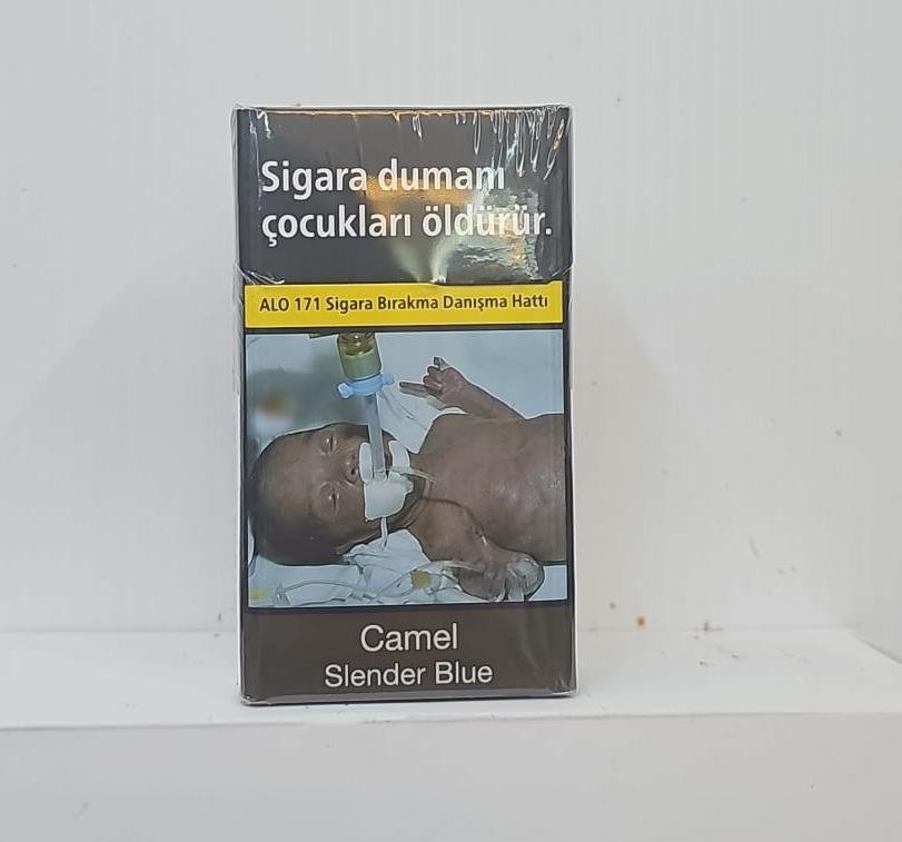 Camel