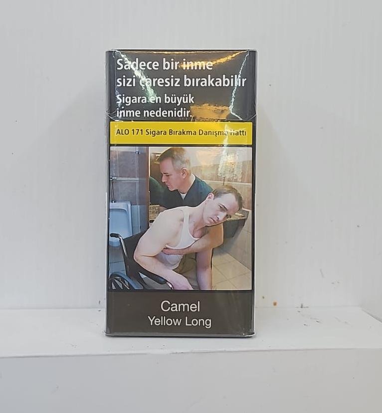 Camel